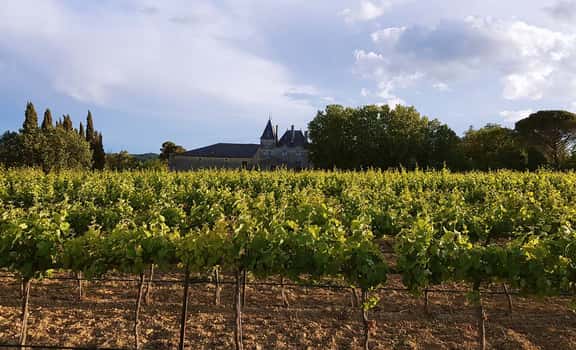 Vinpressionniste - Domaine de la Canague Vieille