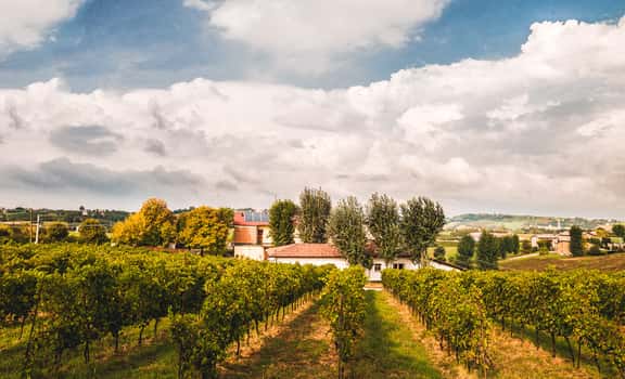 Fattoria Moretto