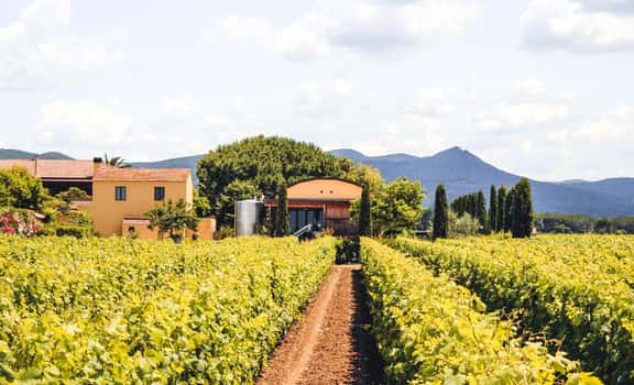 Terre del Marchesato