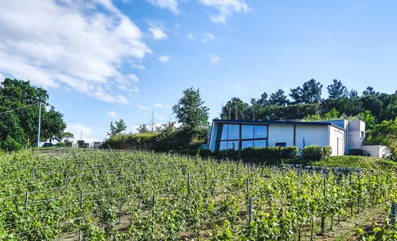 Vigna della Cava