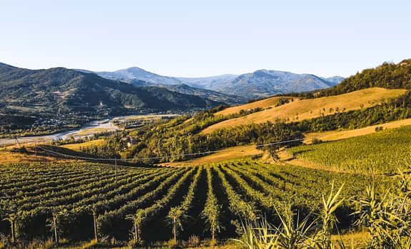 Podere Paganini