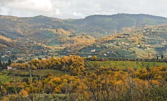 Matrignano