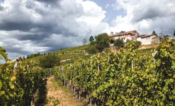 Valletti