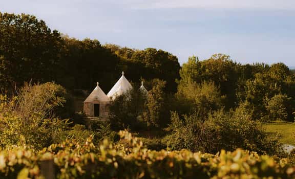 Vineka