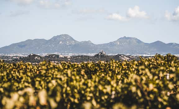 La Contralta