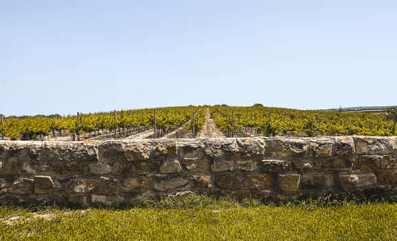 Tenuta La Favola