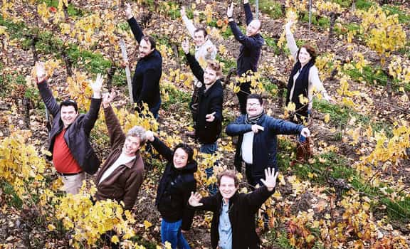 Bordeaux Vignerons