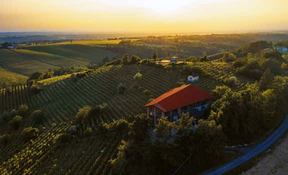 Cascina degli Ulivi