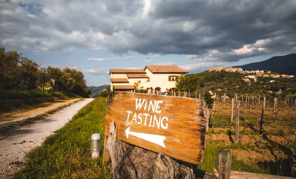 Amiata i Vini del Vulcano