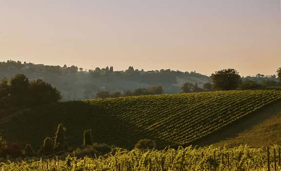 Podere Mattei