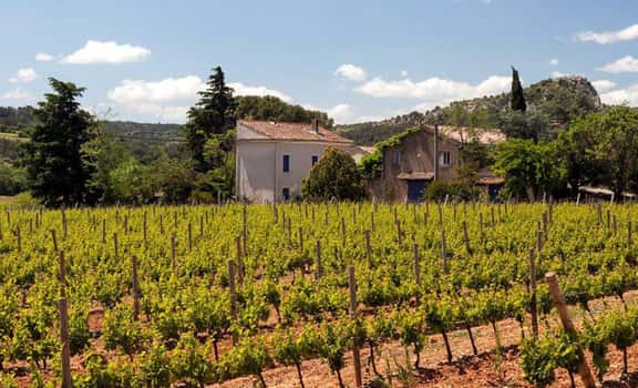 Clos Bagatelle