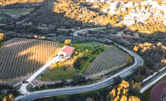 Cantina Gibadda