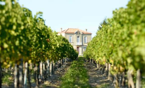 Château Haut Canteloup