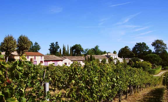 Vignes Secrètes
