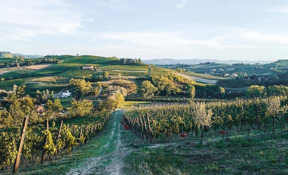 Viv Winery