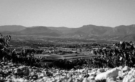 Domaine L'Hermas