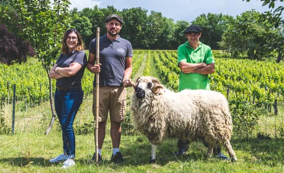 Château Franc-Baudron