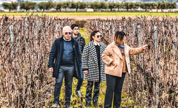 Tenuta Viglione