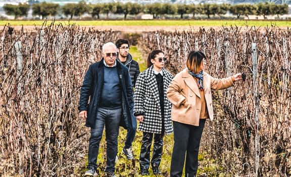 Tenuta Viglione