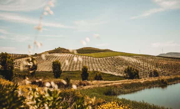 Navarra