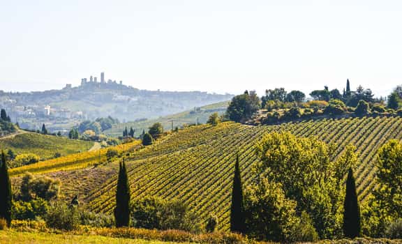 Fattoria di Fugnano