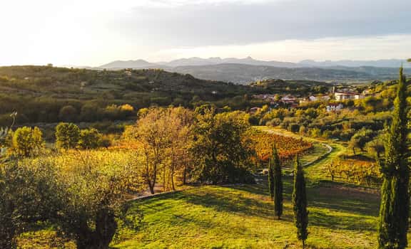 Cautiero