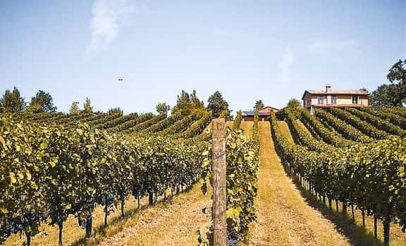 Villa Oppi