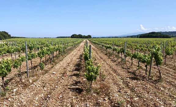 Domaine Les Chemins de Sève