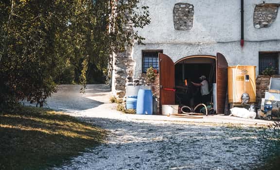Il Pellagroso
