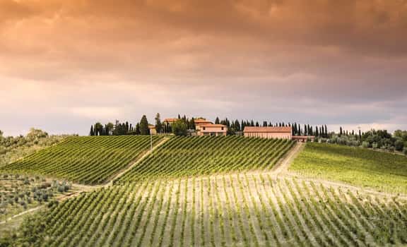 Fattoria L'Arco