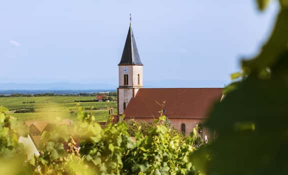 Domaine Sohler Les Vigneronnes