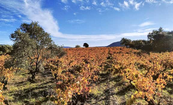 Le Clos Rouge