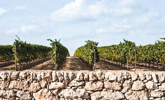 Masseria Capoforte
