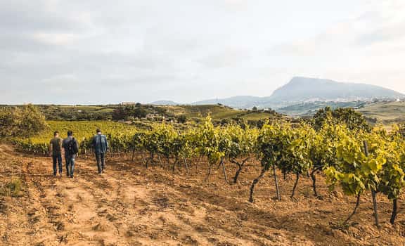 Azienda Agricola Elios