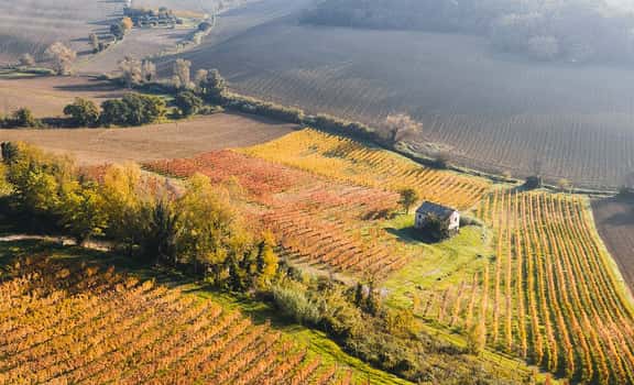 Vigna degli Estensi