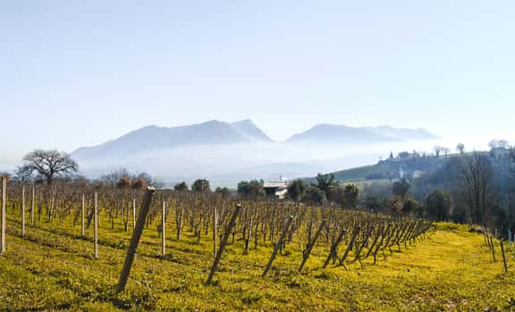 Davide Campagnano