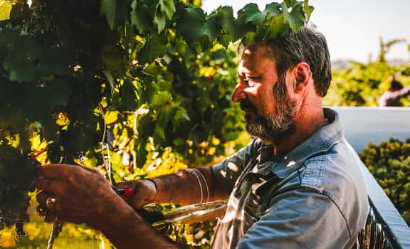 San Luciano Vini di Toscana