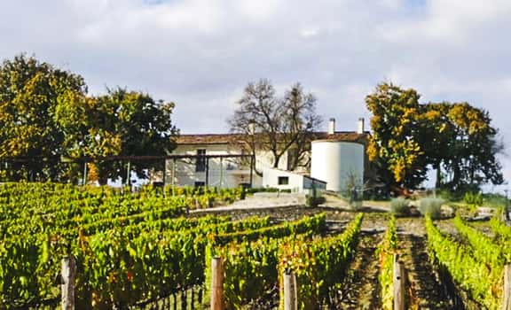 Mastrangelo Vini