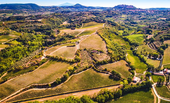 Valdipiatta