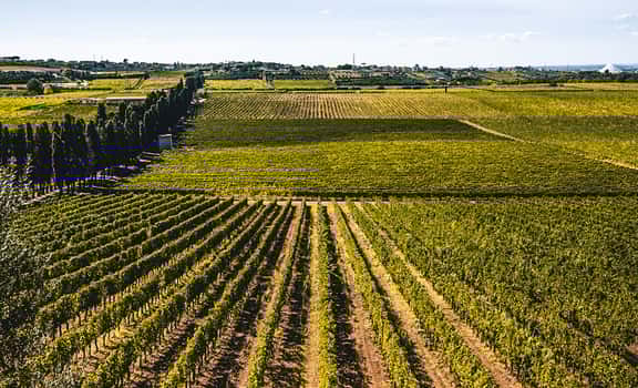 Tenuta di Pietra Porzia