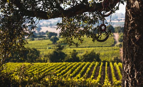 Val di Toro