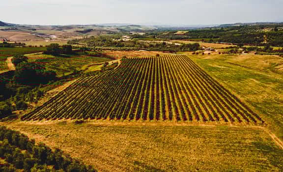 Perazzeta