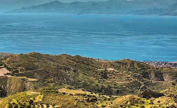 Barone di Bolaro Vini