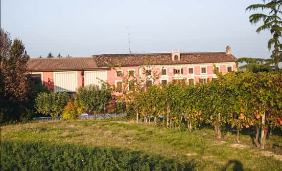 Dealessi