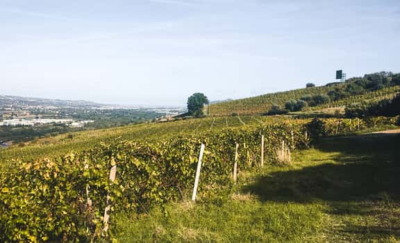 Tenuta Cassetti