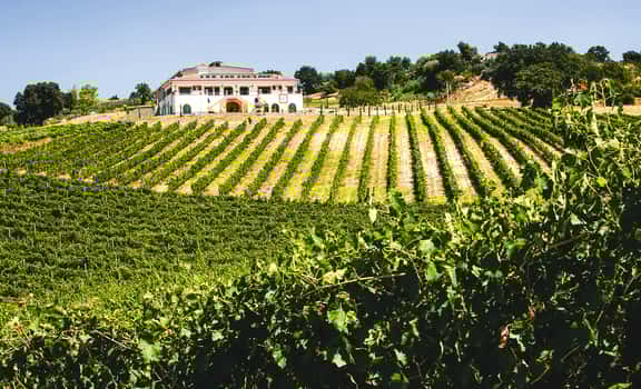 Tenuta Santa Lucia