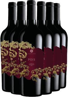 Vernice Box Promozionale Pois Campania Aglianico IGP