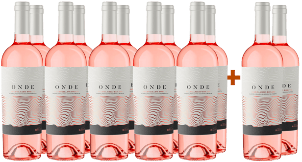 10+2 Negroamaro Rosato del Salento IGP
