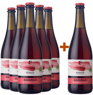 5+1 Rosato frizzante Veneto IGP col fondo BIO