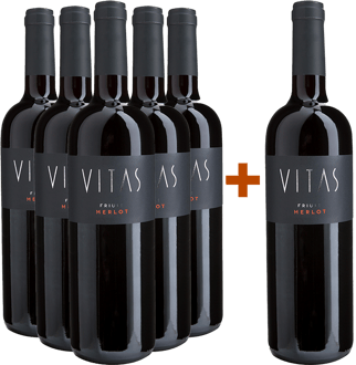 5+1 Merlot Friuli DOC